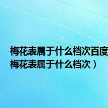 梅花表属于什么档次百度百科(梅花表属于什么档次)
