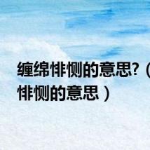 缠绵悱恻的意思?（缠绵悱恻的意思）
