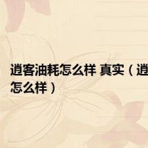 逍客油耗怎么样 真实(逍客油耗怎么样)
