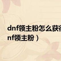 dnf领主粉怎么获得(dnf领主粉)