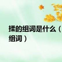 揉的组词是什么（揉的组词）