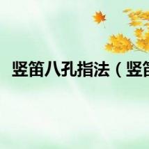 竖笛八孔指法（竖笛）