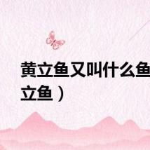 黄立鱼又叫什么鱼（黄立鱼）