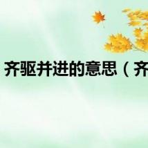 齐驱并进的意思（齐驱）
