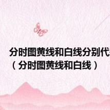 分时图黄线和白线分别代表什么(分时图黄线和白线)