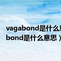 vagabond是什么意思(bond是什么意思)