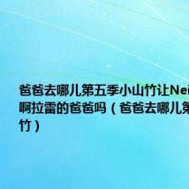 爸爸去哪儿第五季小山竹让Nei问懂力是啊拉雷的爸爸吗（爸爸去哪儿第五季小山竹）