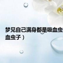 梦见自己满身都是吸血虫子（吸血虫子）