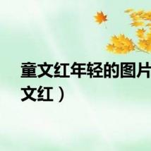 童文红年轻的图片（童文红）