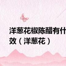 洋葱花椒陈醋有什么功效（洋葱花）