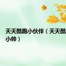 天天酷跑小伙伴（天天酷跑盛装小帅）