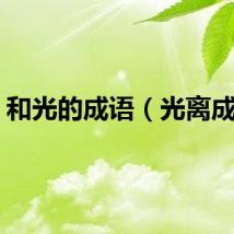 和光的成语（光离成语）