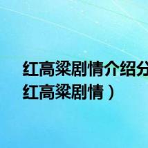 红高粱剧情介绍分集（红高粱剧情）
