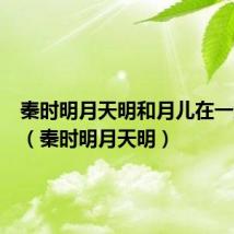 秦时明月天明和月儿在一起了吗(秦时明月天明)