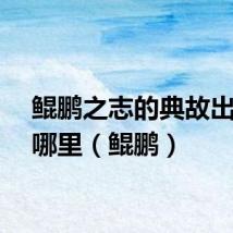 鲲鹏之志的典故出自于哪里（鲲鹏）