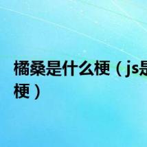 橘桑是什么梗(js是什么梗)