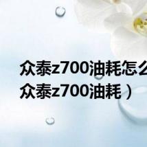 众泰z700油耗怎么样(众泰z700油耗)