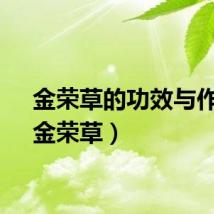 金荣草的功效与作用（金荣草）