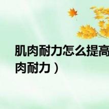肌肉耐力怎么提高（肌肉耐力）