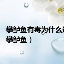 攀鲈鱼有毒为什么还吃（攀鲈鱼）