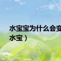 水宝宝为什么会变大（水宝）