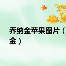 乔纳金苹果图片（乔纳金）
