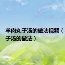 羊肉丸子汤的做法视频(羊肉丸子汤的做法)