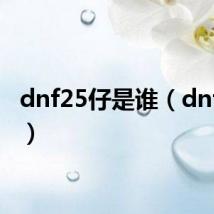 dnf25仔是谁(dnf25仔)