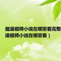 魔道祖师小说在哪里看完整版(魔道祖师小说在哪里看)