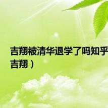 吉翔被清华退学了吗知乎文章(吉翔)