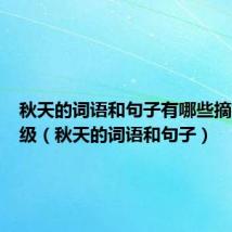 秋天的词语和句子有哪些摘抄三年级(秋天的词语和句子)