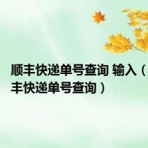 顺丰快递单号查询 输入(输入顺丰快递单号查询)