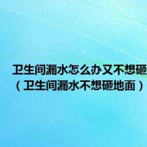 卫生间漏水怎么办又不想砸地板砖(卫生间漏水不想砸地面)