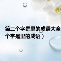 第二个字是里的成语大全(第二个字是里的成语)