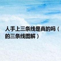 人手上三条线是真的吗(人手上的三条线图解)