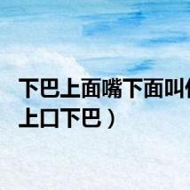 下巴上面嘴下面叫什么（上口下巴）