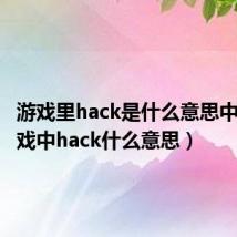 游戏里hack是什么意思中文(游戏中hack什么意思)