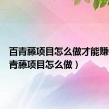 百青藤项目怎么做才能赚钱(百青藤项目怎么做)