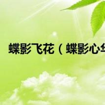 蝶影飞花（蝶影心华）