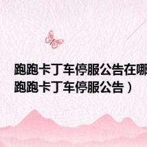 跑跑卡丁车停服公告在哪里看(跑跑卡丁车停服公告)