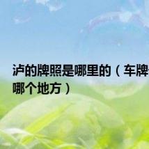 泸的牌照是哪里的(车牌号泸是哪个地方)