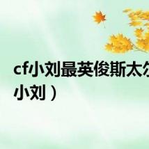cf小刘最英俊斯太尔(cf小刘)