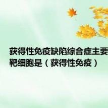 获得性免疫缺陷综合症主要受损的靶细胞是(获得性免疫)