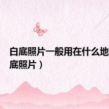 白底照片一般用在什么地方(白底照片)