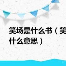 笑场是什么书（笑场是什么意思）