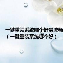 一键重装系统哪个好最流畅的版本(一键重装系统哪个好)
