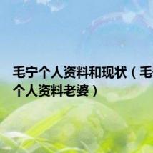 毛宁个人资料和现状(毛宁简历个人资料老婆)