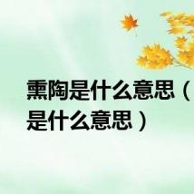 熏陶是什么意思（驾驭是什么意思）