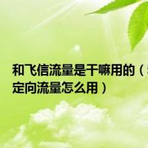 和飞信流量是干嘛用的（和飞信定向流量怎么用）