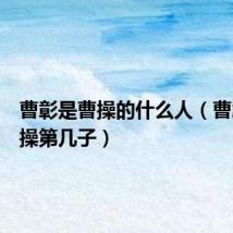 曹彰是曹操的什么人（曹彰是曹操第几子）